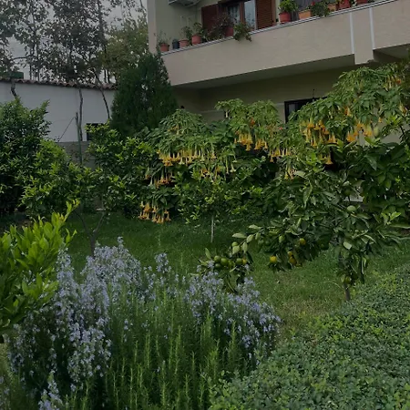Daci House بيت ضيافة